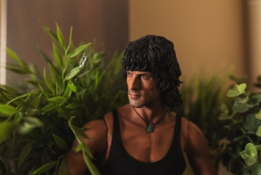 Рембо комнатный