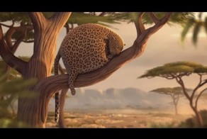 Что если бы животные ели фаст фуд