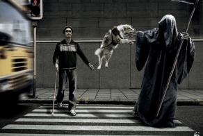 5 историй о животных, которые спасли людей от смерти