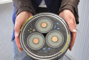 Фишкина солянка за 11.05.2014