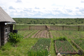 Не хочу на дачу