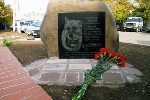 Овчарка Елга: спасала солдат в «горячих» точках, а умерла от рака.