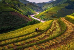 Лучшие фотографии National Geographic за прошедший месяц