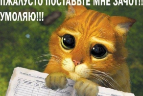 Сессия приходит...