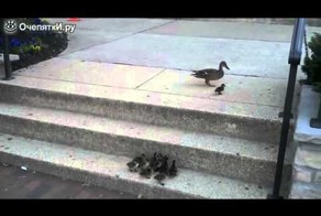 Главное упорство и все получится