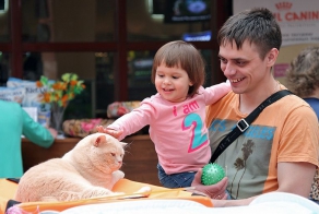 Выставка кошек в Томске
