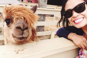 Фотоподборка за 15.05.2014