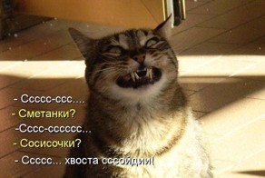 ЛУЧШИЕ СМЕШНЫЕ ВИДЕО May 2014 -- КОТ как ЧЕЛОВЕК