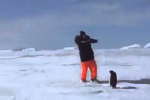 Бесконтактный нокаут