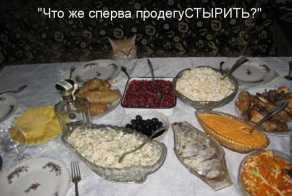 Лучшие котоматрицы недели