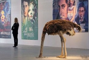 Некоторые факты о страусах