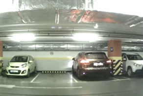 Очередное быдло