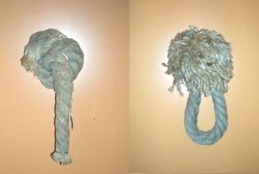 Веселые картинки с дверей туалетов