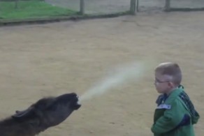 Лучшие приколы #10