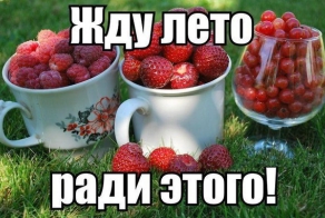Подборка прикольных фотографий