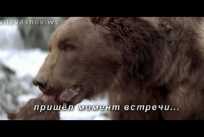 Никогда не сдавайся !