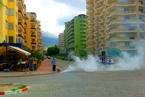 Умри комар.