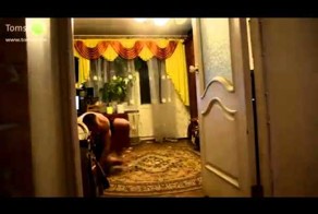 Квартирный паркурщик