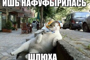 Быдло-бабка и её мохнатая подружка