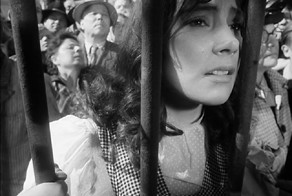 Летят Журавли