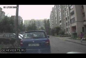 Бедолага мерин