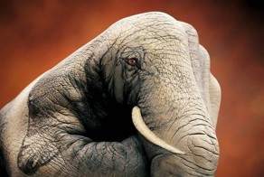 Боди-арт на руках