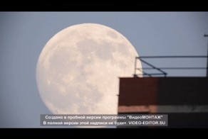 Пролетала...