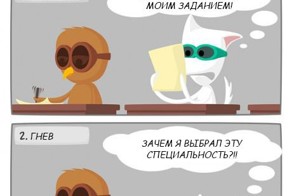 5 стадий принятия экзамена