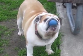 Лучшие приколы #11