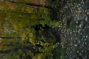 Вроде бы и жизнь налаживается