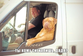 Подборка автоприколов. Часть 127