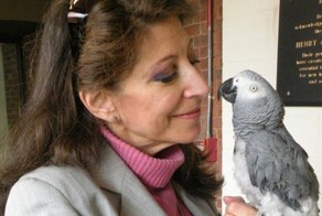 Интересные факты, доказывающие то, что животные умнее, чем мы думали.