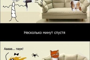 Баянов коллекция 5