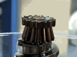  Необычные реакции в GIF анимации