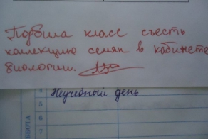 Учительские перлы из школьных дневников