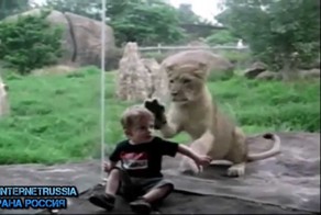 Дети и дикие животные