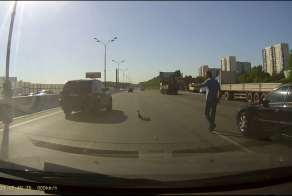 Спасаем Утиное семейство на МКАД в час пик.