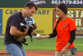 Спасшая ребенка от нападения пса кошка стала почетным гостем на бейсбо