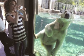 Фотоподборка за 23.05.2014