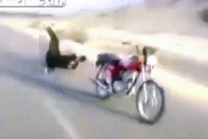 Арабы все не угомонятся 