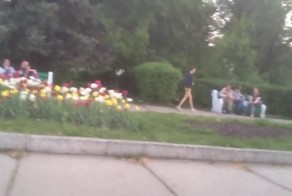 Подборка видео от 23.05.2014