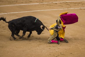 Испанские быки одержали историческую победу