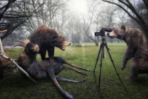 Фотошоп и животные