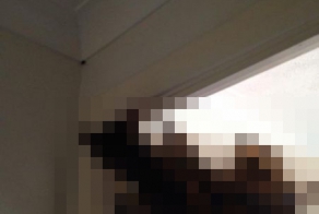 Обнаружен новый вид