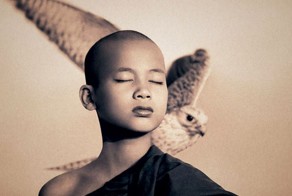 Пепел и Снег.