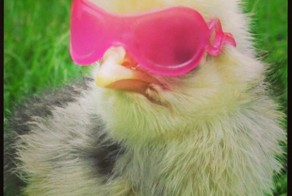 100 самых горячих цыпочек инстаграмма