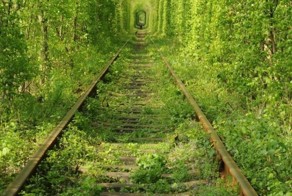 Тоннель любви