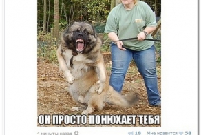 Смешные комментарии из социальных сетей 26.05.14