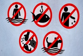 Оригинальные запреты