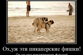 Ох,уж эти пикаперские фишки!